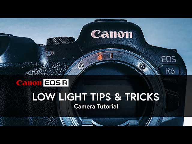 Low Light Photo/Video Tips and Tricks | EOS R6