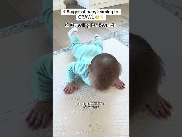 4 Stages baby learning to CRAWL ‼️🚨 #baby #babyshorts #babies #crawling #crawlingbaby