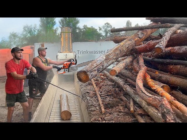 LIVE: When Machines Face the Biggest Logs!