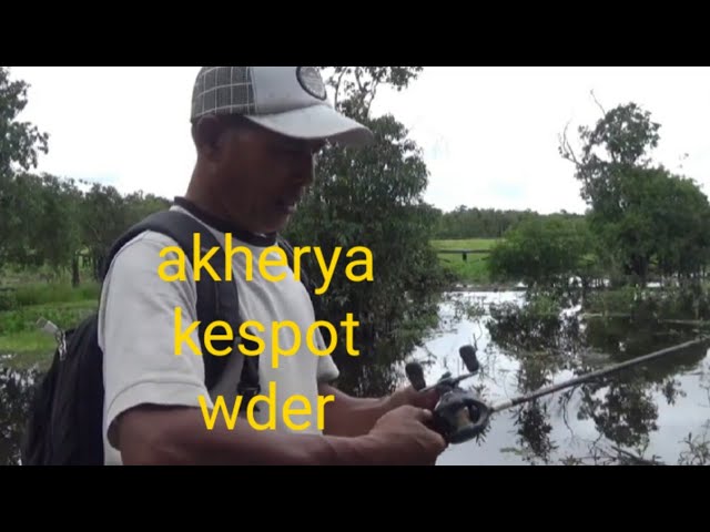 MANCING WADER DI KALIMANTAN TIMUR SANGAT BAHAGIA @kisoretak7509