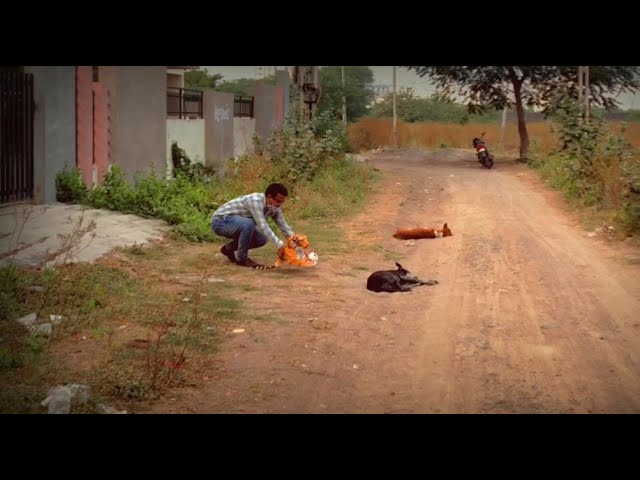 FAKE TIGER PRANK WITH DOG | VERY FUNNY | THALAPPA PRANK | DOG PRANK