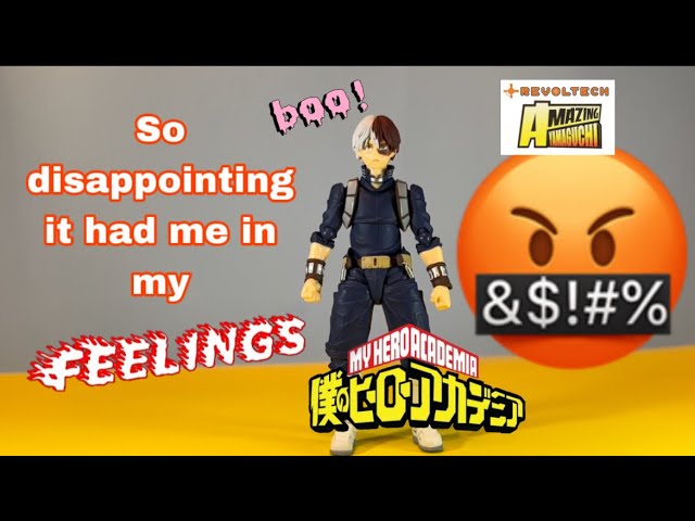 A review that turns into a RANT that turns into a conversation with myself - Revoltech Todoroki