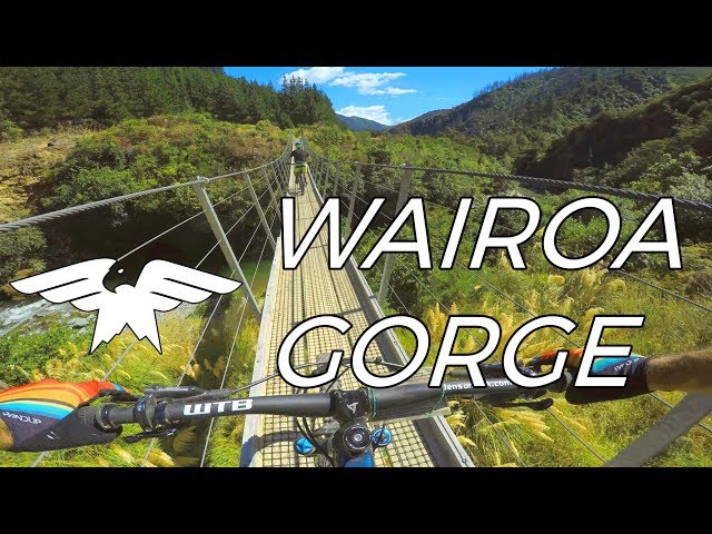 A Billionaire Built These Trails - Wairoa Gorge Bike Park - Nelson, New Zealand