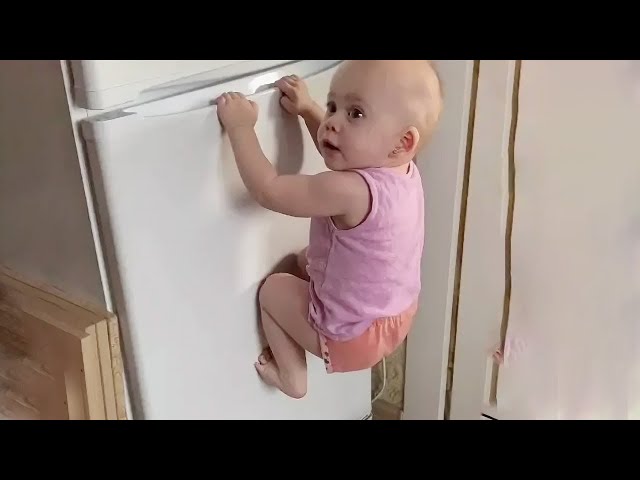 Try Not To Laugh With Best Funny Baby Videos Compilation