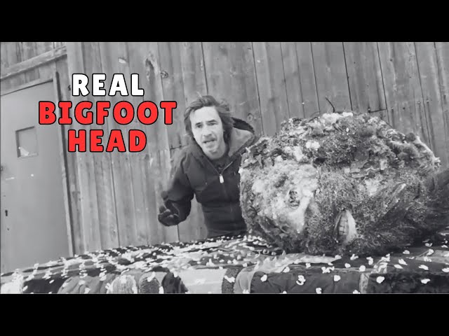 “Real Bigfoot Head” Trail Cam Footage Just Revealed