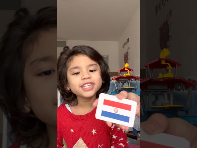 My 4 year-old son with his different kind of flags