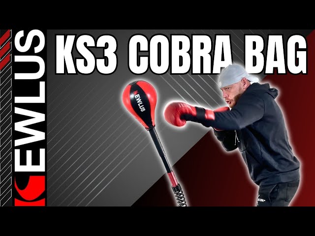 My honest review of the KEWLUS COBRA BAG - Installation, Demo, & Results