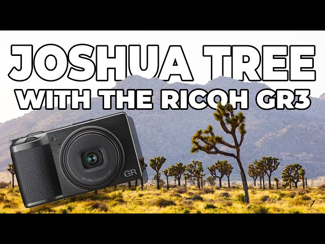 Testing the Ricoh GR3 in Joshua Tree - Sample pictures