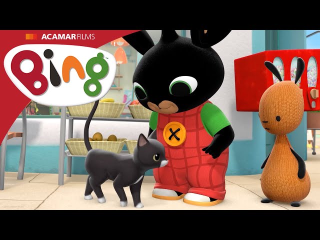 Cat | Bing Full Episode | Bing English