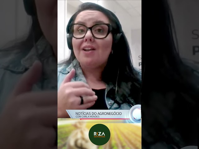 Pós colheita deverá exigir muita estratégia do produtor em 2025. Acompanhe com Carla mendes