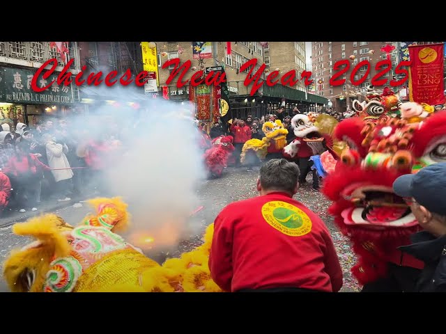 Lion Dancers Procession (Chinatown, NYC - 2-8-25)