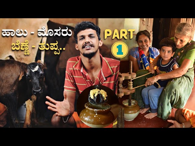 Milk to Ghee process part-1 | Butter making with full details ಹಾಲಿನಿಂದ ತುಪ್ಪದವರೆಗೆ | Curd & Butter