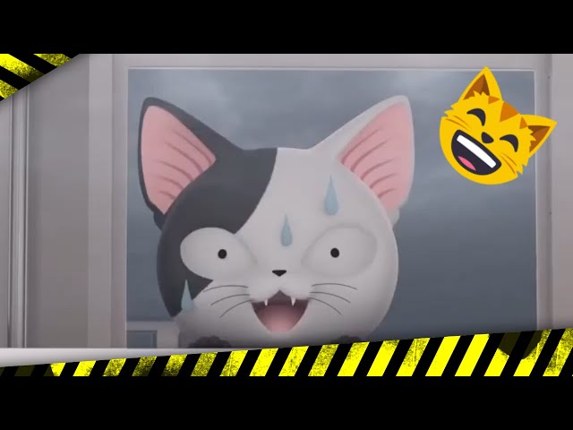 kartun kucing lucu banget bikin ngakak  😁