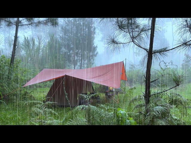 SOLO CAMPING HEAVY RAIN - RELAXING CAMPING WITH RAIN SOUNDS - ASMR