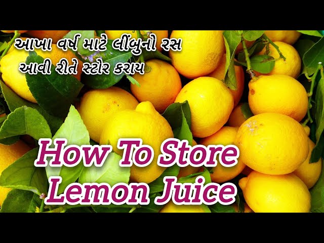 આખા વર્ષ માટે લીંબુનો રસ સાચવવાની પરફેક્ટ રીત|| How to  store lemon juice| Store Lemon for long time