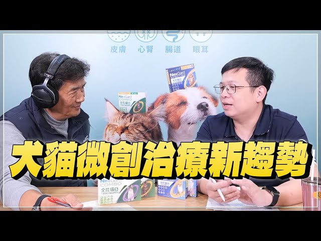 '25.02.17【全能狗S 寵物當家】賴震洋獸醫師談「犬貓微創治療新趨勢」