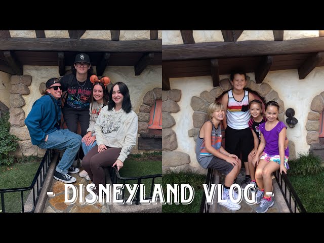 Disneyland Vlog |VLOG| *disneyland, rides and family