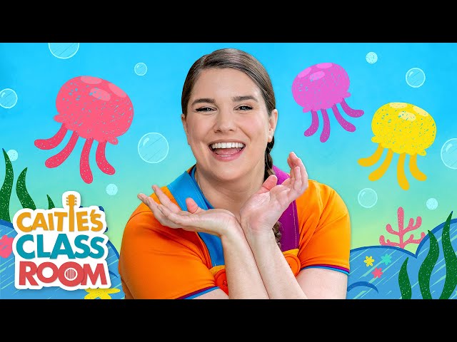 The Jellyfish | Songs from Caitie's Classroom | Dance & Movement for Kids!