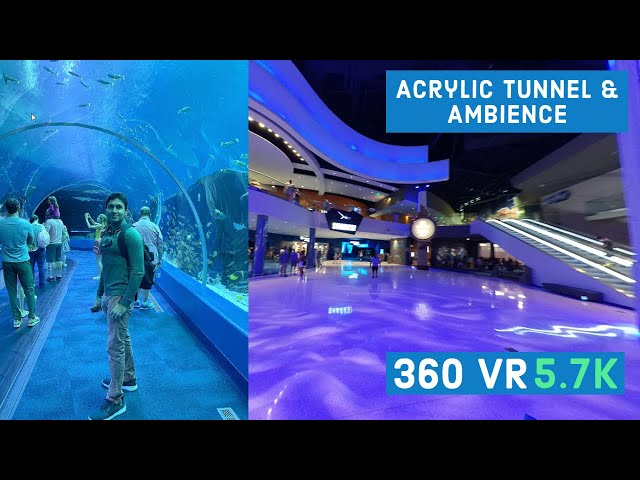 Georgia Aquarium Ambience & Acrylic Tunnel || Episode - 11 || 360 VR Video