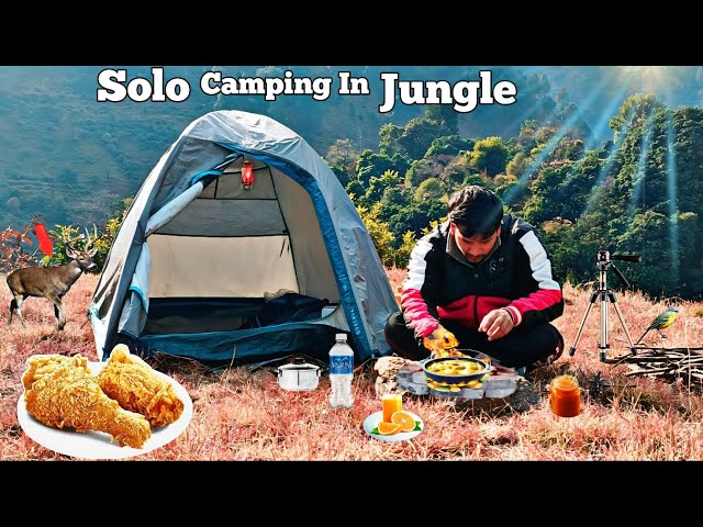 Solo Camping In Mountains | Relaxing In Nature | Hiking And Camping In India |