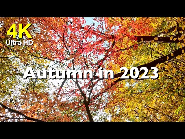 4K Autumn in 2023 | Chiaksan National Park | South Korea