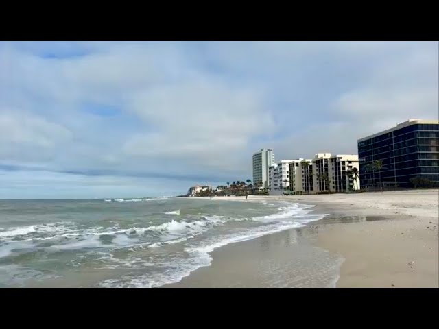 Robb’s Friday Morning Beach Walk on Vanderbilt Beach in North Naples, Florida | January 24, 2025