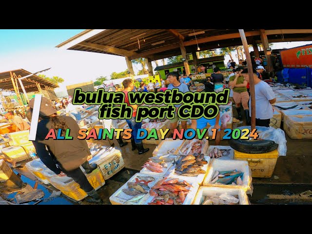 BULUA WESTBOUND FISH PORT CDO ALL SAINTS DAY NOV.1 2024