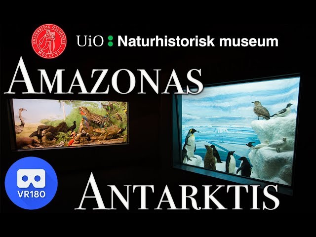 VR180 Naturhistorisk Museum - Amazonas og Antarktis (in Norwegian)