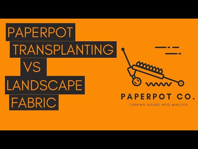 Landscape Fabric vs Paper Pot Transplanter