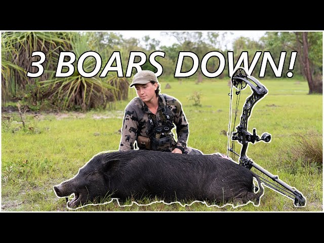 BOWHUNTING BOARS | My BEST day of hunting EVER!