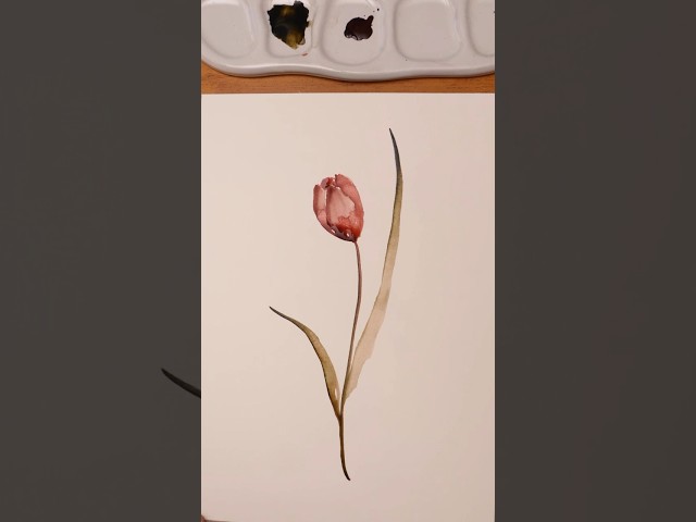 Como pintar uma tulipa em aquarela #arte #pintura #aquarela