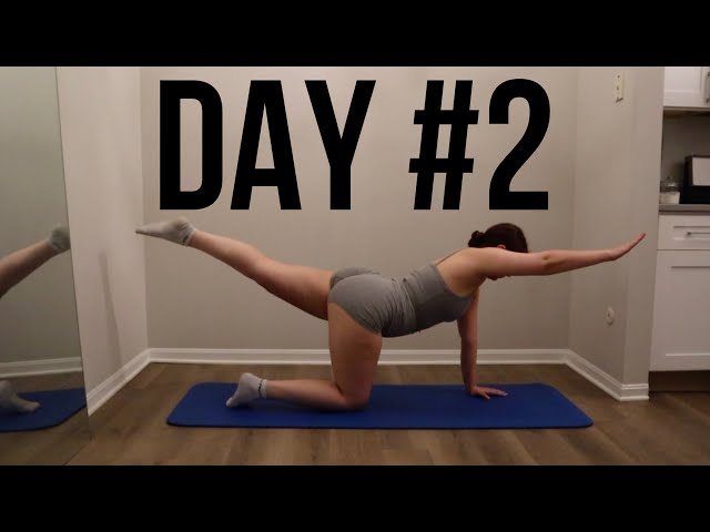 Day #2 Pilates 30 Day Workout Challenge At Home Fitness No Equipment