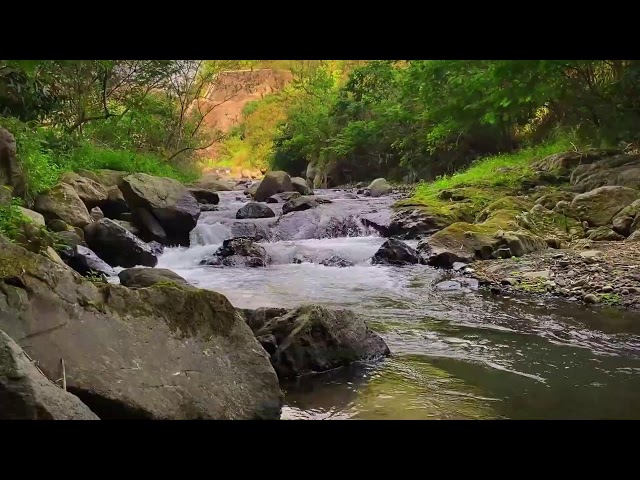 Peaceful River Flow: Perfect for Sleep & Meditation