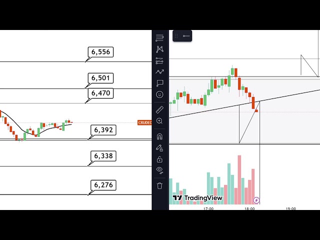 LIVE Crudeoil / Natural Gas