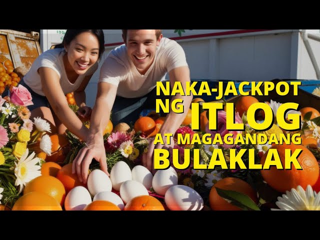 Dumpster Diving (Germany) : NAKA-JACKPOT NG ITLOG AT MAGAGANDANG BULAKLAK