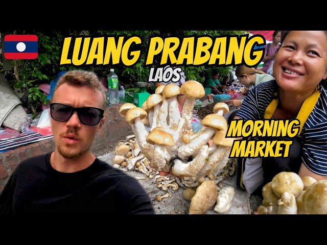 Trying Local Lao Food At The Morning Market In Luang Prabang - Laos