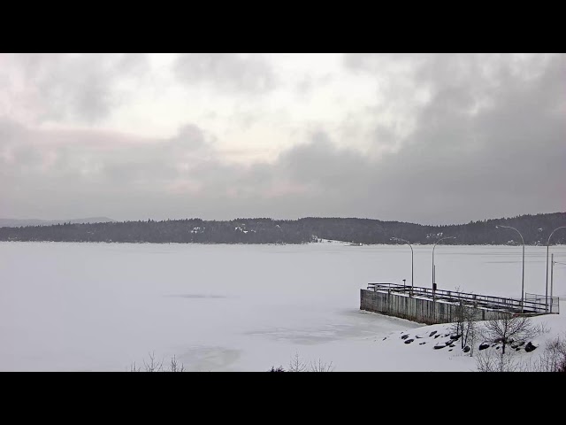 Saint John, NB Kingston Peninsula Princess Ferry Live