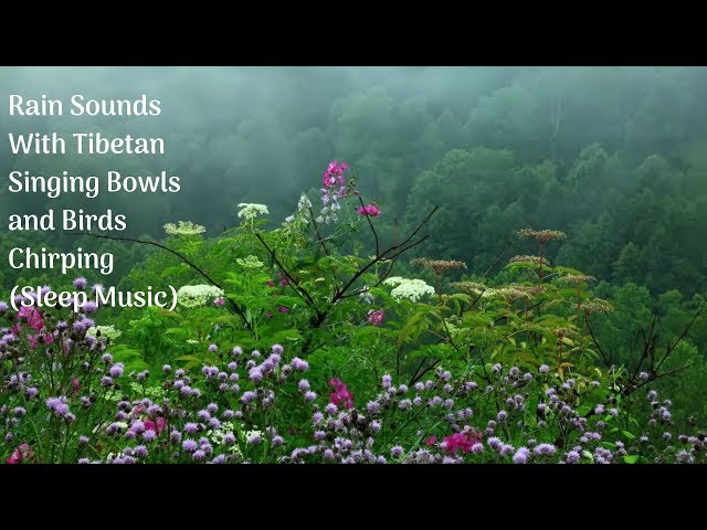 Rain Sounds with Tibetan Singing Bowls and Birds chirping  Sleep Music Calming Music Relaxing Music