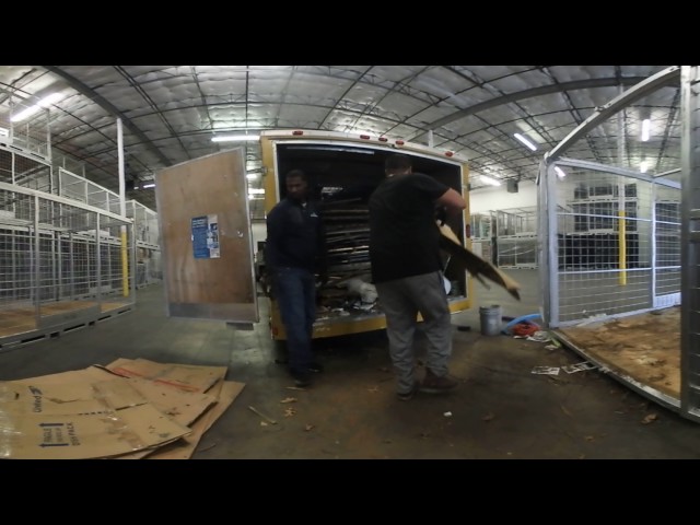 Junkguys junk removal service storage facility clean up in Dallas Texas