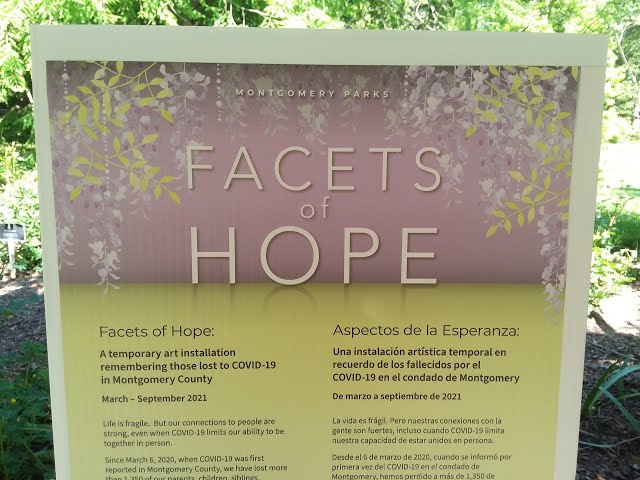 Facets of Hope COVID-19 Art Installation 3D 180 VR