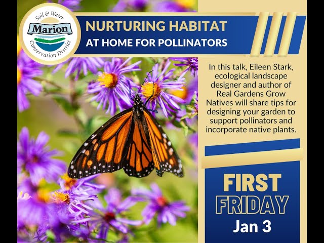 First Friday - Nurturing Habitat at Home for Pollinators