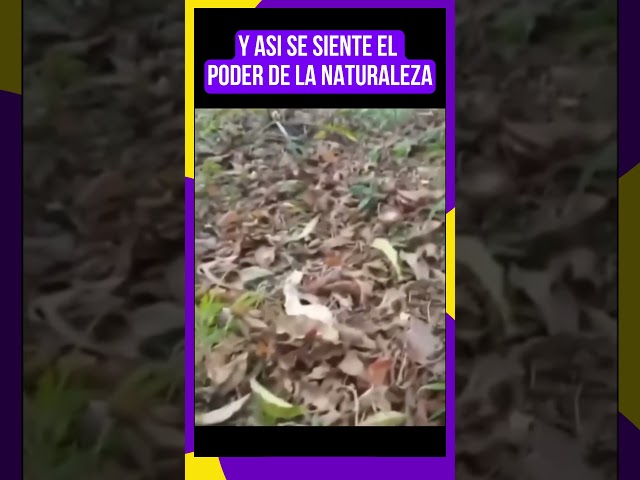 Como se siente un Terremoto? El poder de la Naturaleza. terremoto 8.5 temblor grabado en camara.