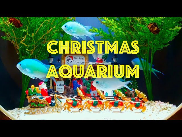 Christmas Aquarium | Christmas Jazz | Relaxing Video for stress relief