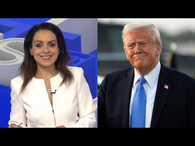 ‘Every day has been like Christmas’: Rita Panahi commends Trump for ‘restoring sanity’