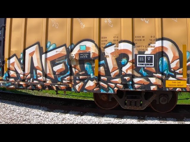 Graffiti Freight Trains