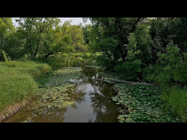 Lake of the Woods SWCD: Bostic Creek watershed