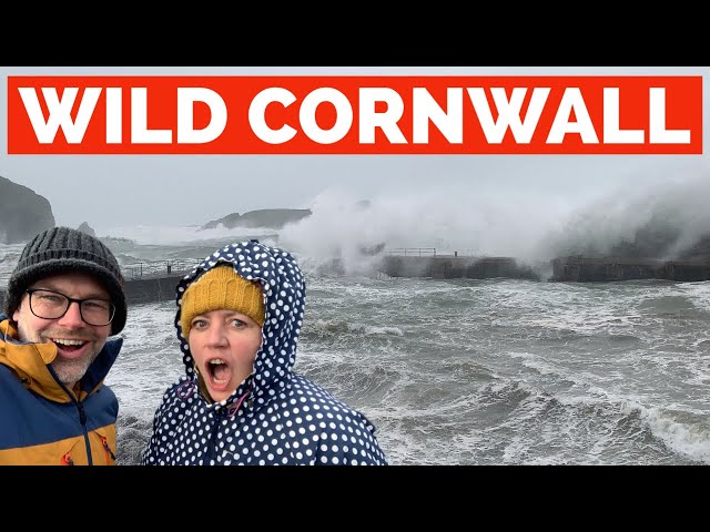 WILD Cornwall! Will STORM chasing Tourists save Cornwall's FAILING tourism economy?