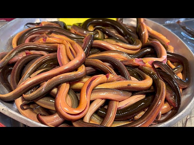 You Will Never Know About This Kind of Fish -Thai Street food