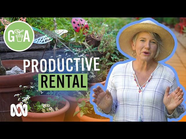 Growing in a Rental Garden | Growing Fruit and Vegies | Gardening Australia