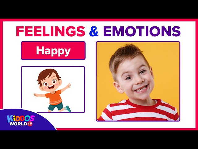 Emotions and Feelings Visual Cards for Learning